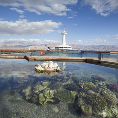 The Underwater Observation Marine Park