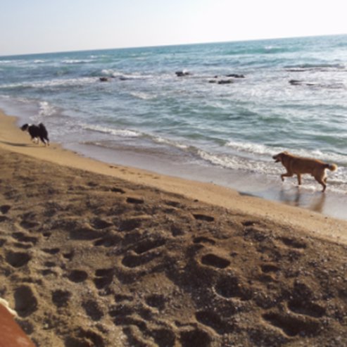 Пляж «Kiryat Sanz Beach»