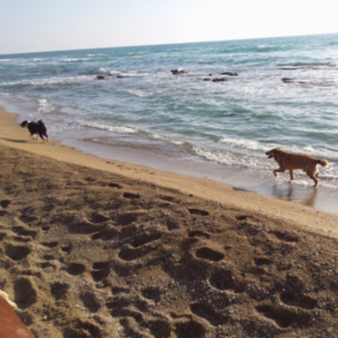 Playa de Kiryat Sanz