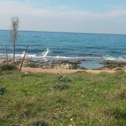 Spiaggia lungo la Strada di Shikmona