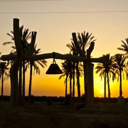Hay Negev - Animaux du désert