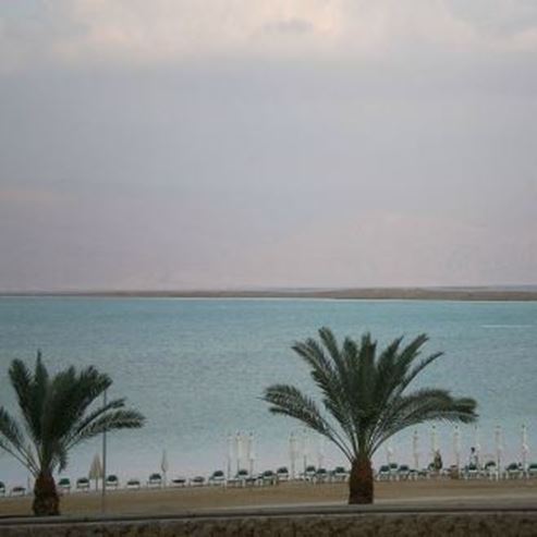 חוף דוד
