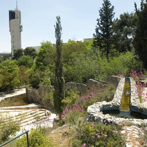 The Botanical Garden Of The Hebrew University On Mount Scopus
