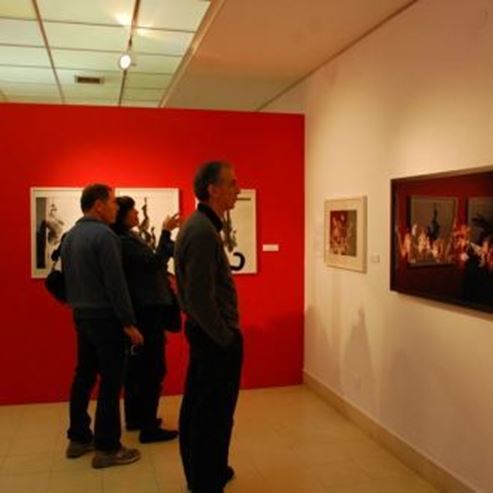 Museo de Arte y Estudios Asiáticos Wilfrid Israel