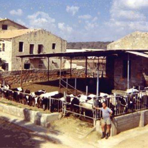 Camino de la vaca y la leche - Centro de Visitantes