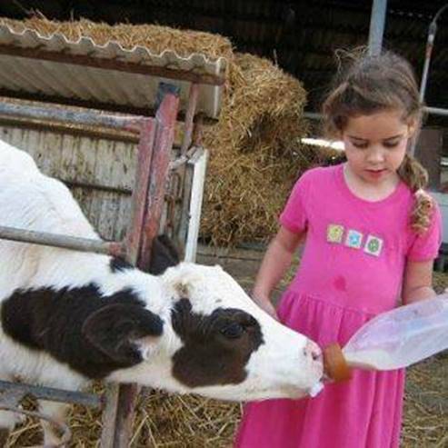 Camino de la vaca y la leche - Centro de Visitantes