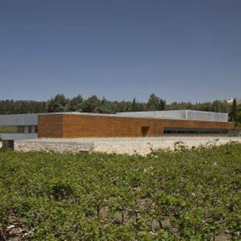 Cantine sul Monte Galil