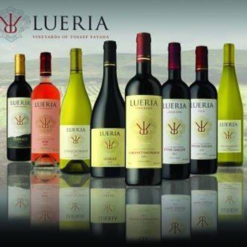 L’exploitation vinicole Luria