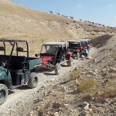 כנען תיירות מדבר