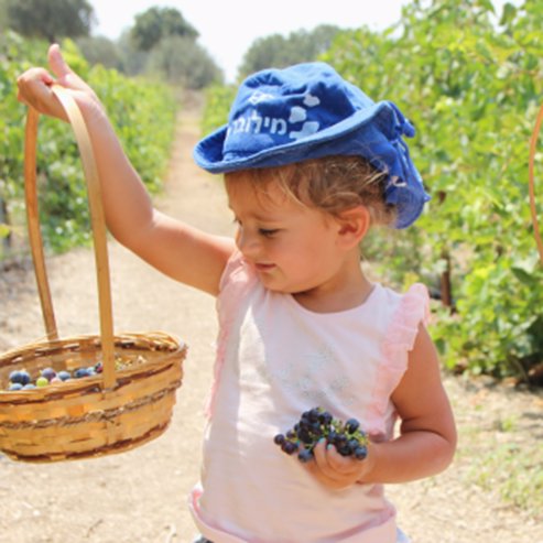 Bodega Yiftah'el