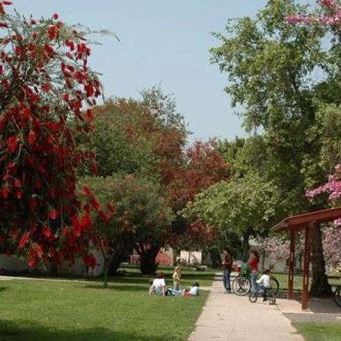 Paysages à couper le souffle, fruits délicieux et belles chansons – Un tour guidé des plantations to