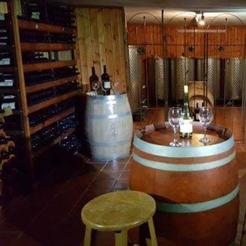 Bodega de Vino de Tavor