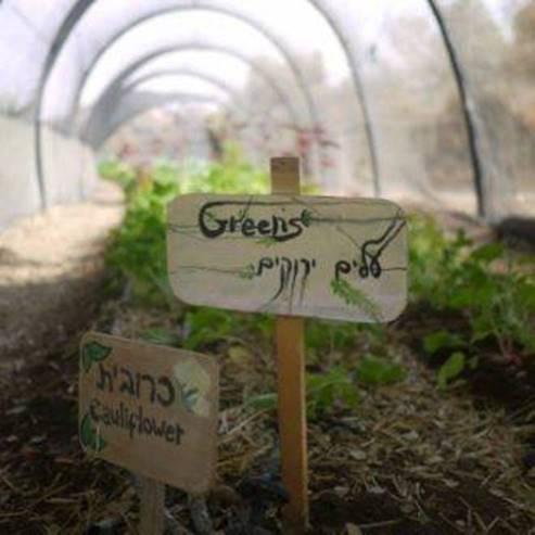 Öko-Touren im Kibbuz Lotan