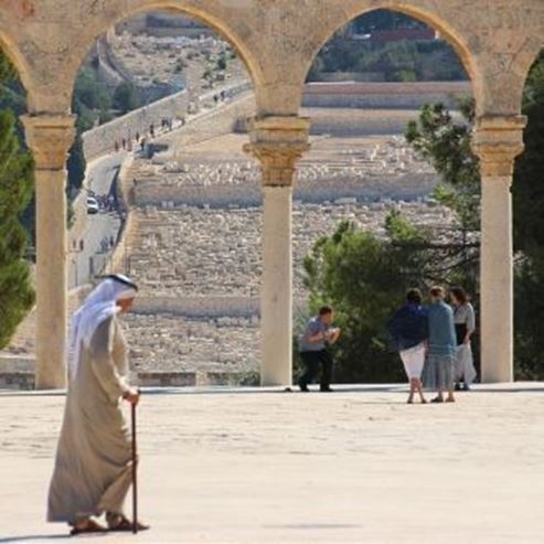 הר הצופים