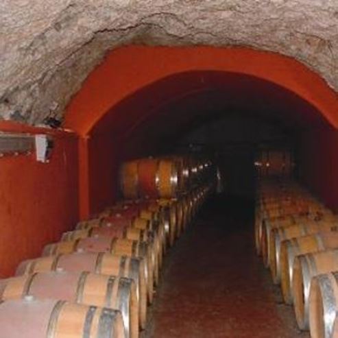Moni Winery