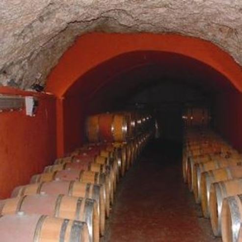 L’exploitation vinicole Moni