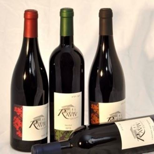 Raviv Winery