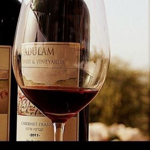 L’exploitation vinicole Adullam