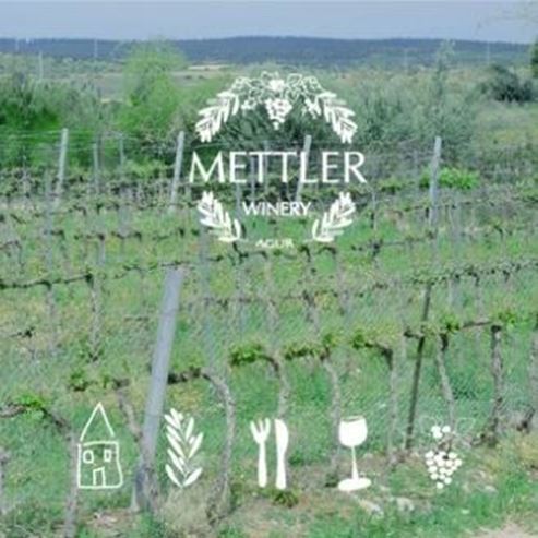 L’exploitation vinicole Metler