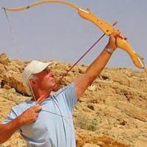 Archery 与 Desert Medbari