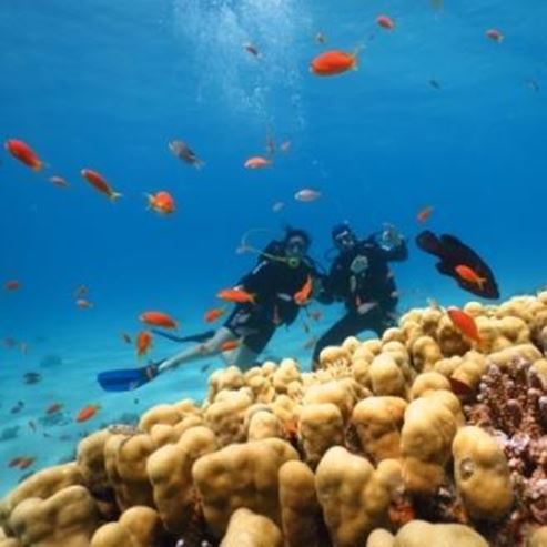 Manta Isrotel Diving Center