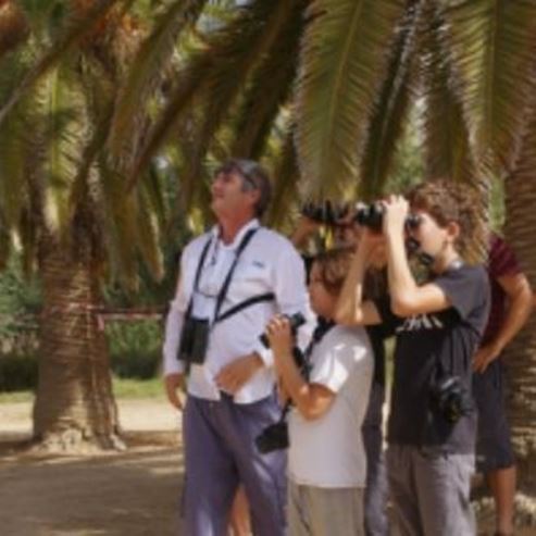 Centro de Observación de Aves y Ecología Yeruham Hoopoe