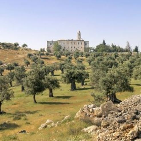 Mar Elias (“St. Elijah”) Monastery