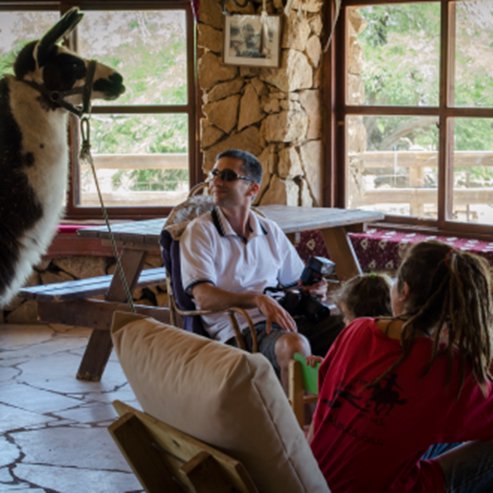 Fattoria di Alpaca