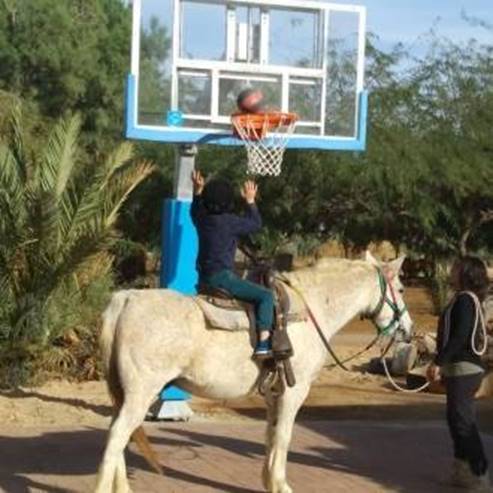 החווה הטיפולית מול הרי אדום