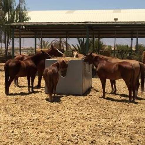 红山治疗性骑马中心 (Red Mountain Therapeutic Riding Center)