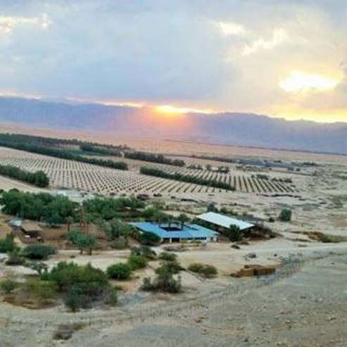 Red Mountain Therapeutic Riding Center