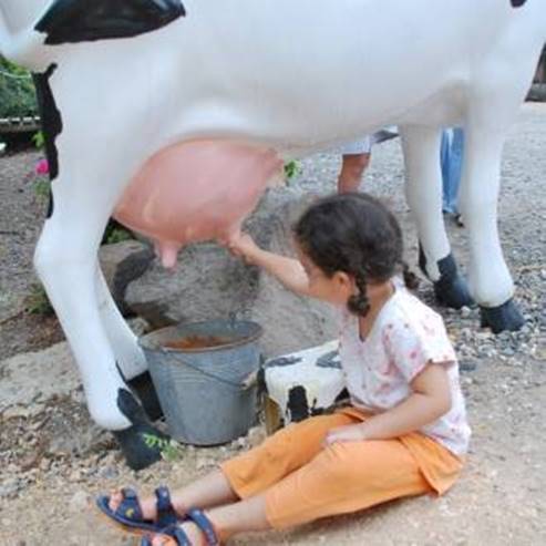 "The robotic dairy in "Avni Eitan