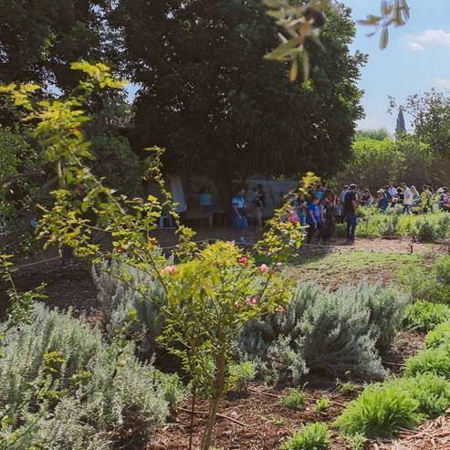 Lavido in Nahalal