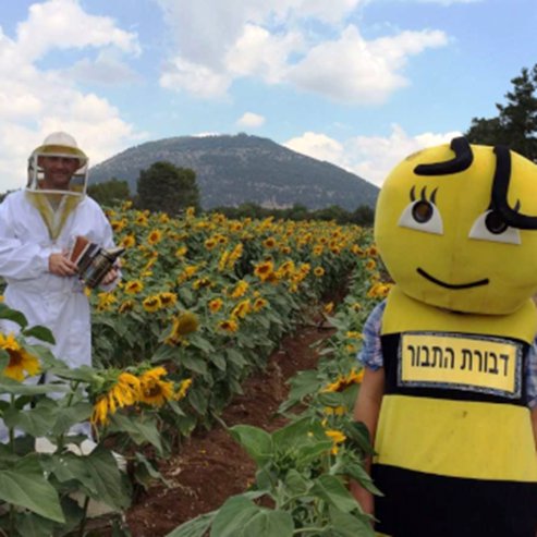 דבורת התבור