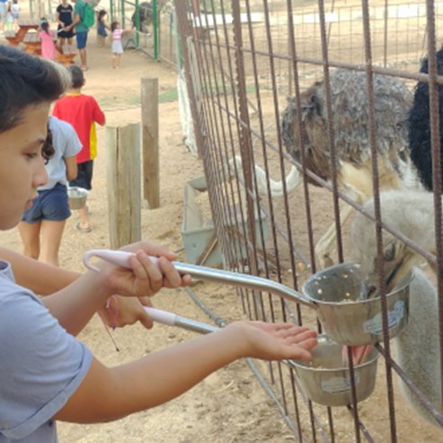 El HaYaen – The Ostrich Farm
