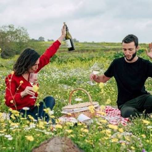 קדם כפר היין - יקב אסף