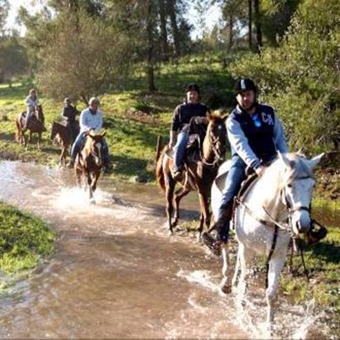 «Ранчо Дубі» (Dubi's Ranch)