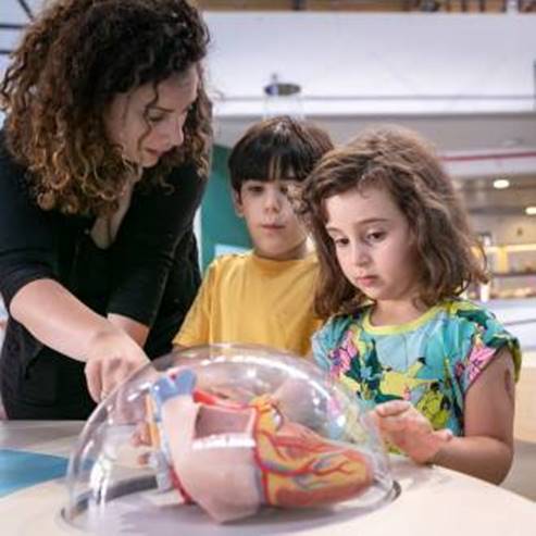 Museo de Ciencias de Bloomfield, Jerusalén