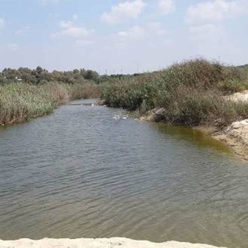 Réserve naturelle de Nahal Poleg