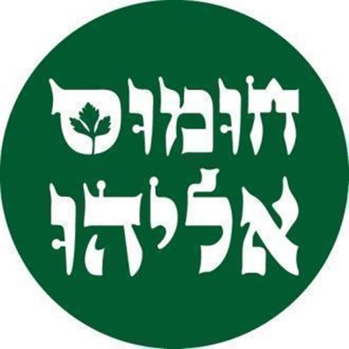 חומוס אליהו - עמק הירדן