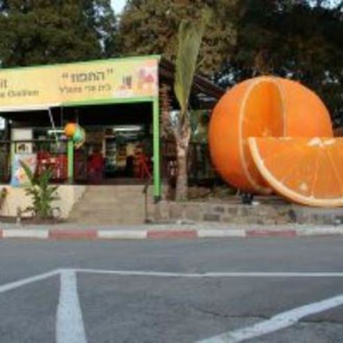 Beit Hapri in Ein Gev- House of Fruit