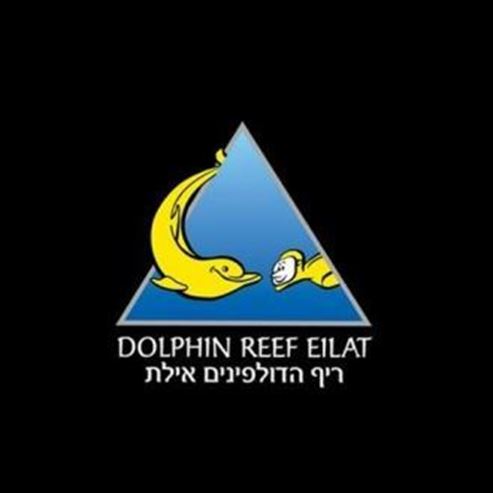 Dolphin Reef Beach Bar