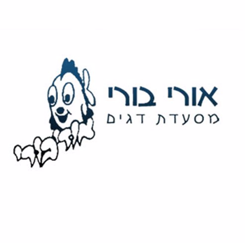 אורי בורי