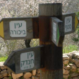 From Ein Sataf To Ein Karem Track