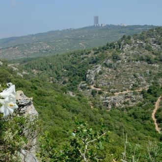 Стежки першопрохідців - Пам'ятник жертвам пожежі на Кармелі