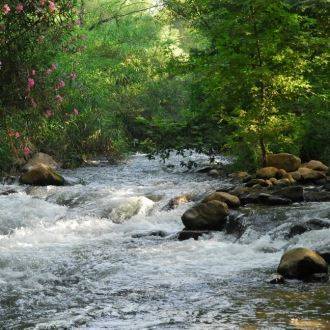 The Accessible Trail to the land of Tributaries