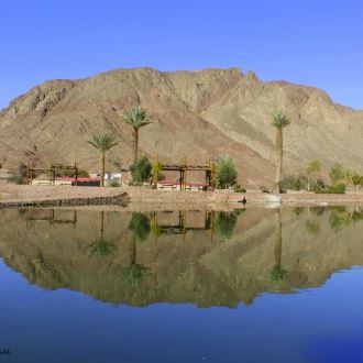 The Wonders of Timna Park