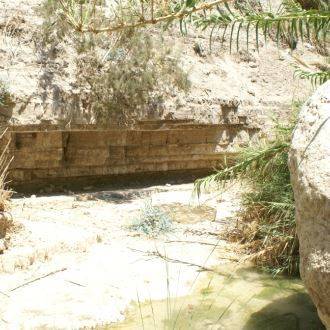 The Nahal David Stream Accessible Trail