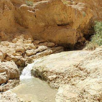 Spring Water For The Ein Bokek Oasis