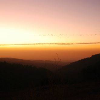 A family track in the Judean and Jerusalem Hills